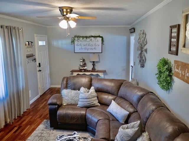 Photo 3 of 7066 Peyronel Street